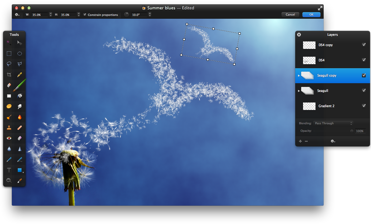 Then, Choose Edit > Transform, Reduce The Size Of The - Herb Clipart (1226x737), Png Download