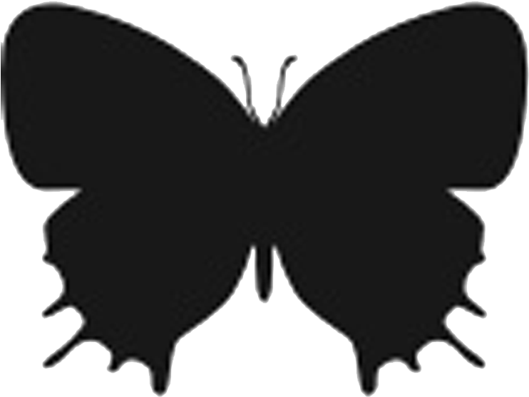 Butterfly Silhouette Png - Papilio Machaon Clipart (799x630), Png Download