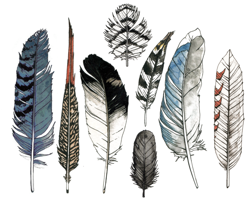 Watercolor Feather Set By Natasha Lawyer From Tattly - Watercolor Feather Clipart (1200x1200), Png Download