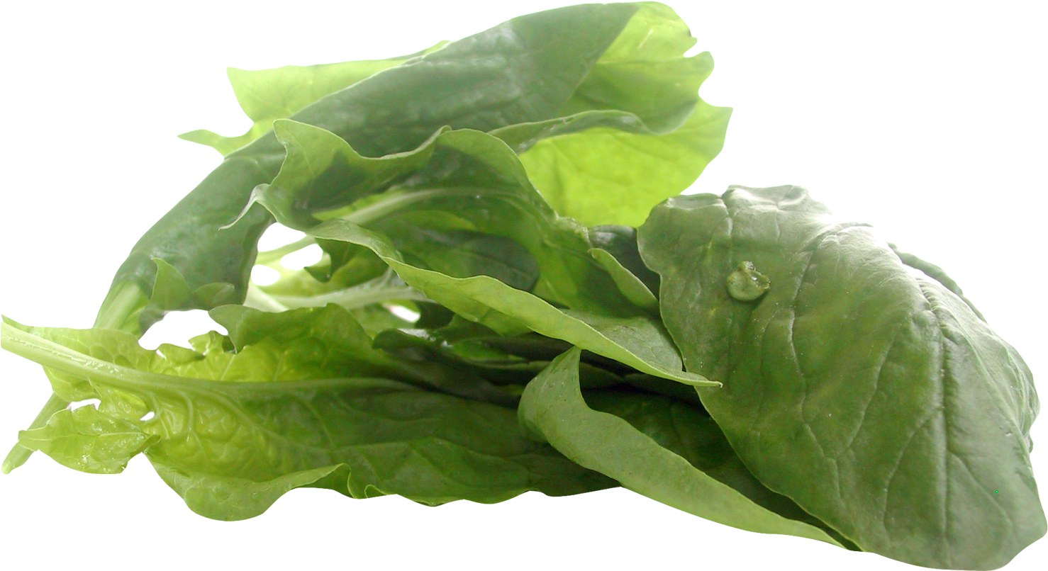 Spinach - Vegan Zinc Clipart (1608x954), Png Download