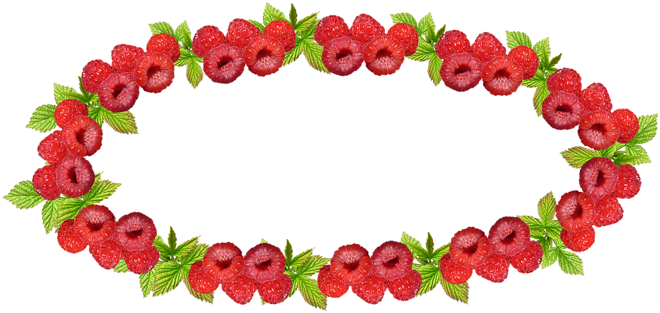 Label, Raspberry, Preserves, Jam, Border - Mermelada De Fresa Etiqueta Clipart (960x461), Png Download