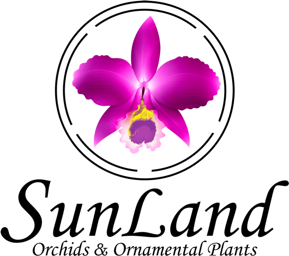 Logo Clipart (600x529), Png Download