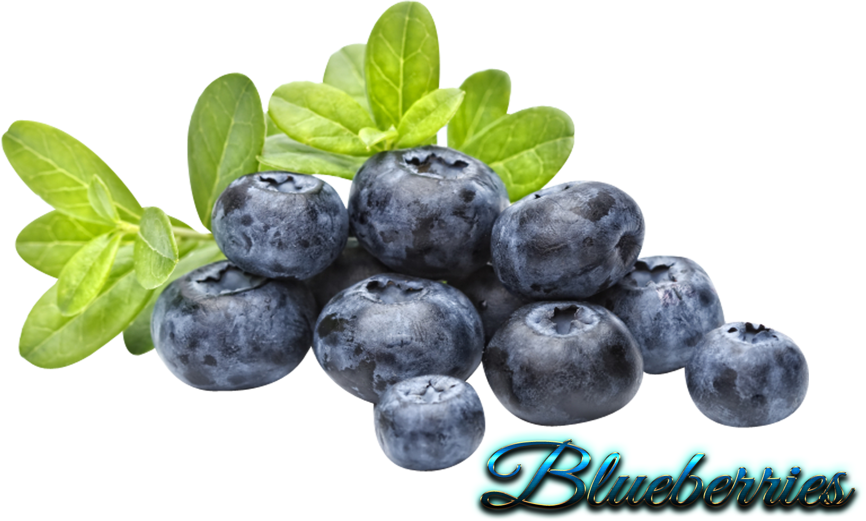 บ ลู เบ อ รี่ Png Clipart (1766x1097), Png Download