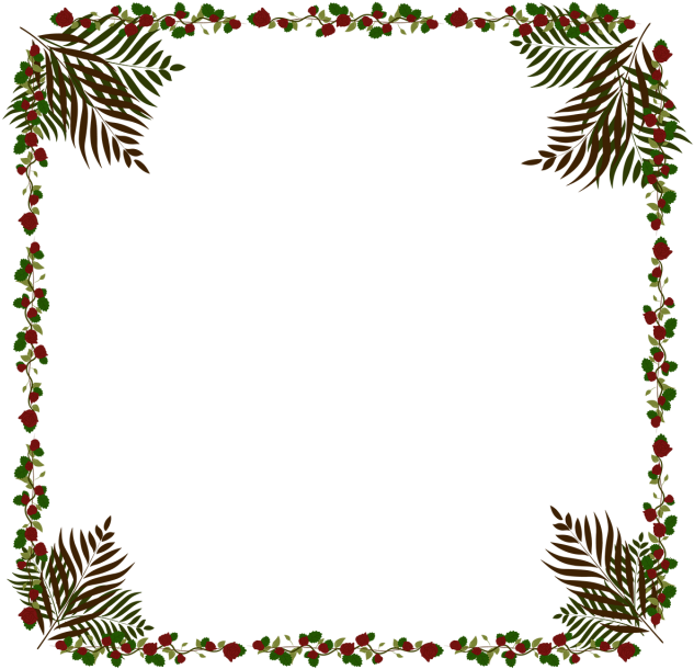 Beautiful Rose And Coconut Frame Vector Png Clipart (640x640), Png Download