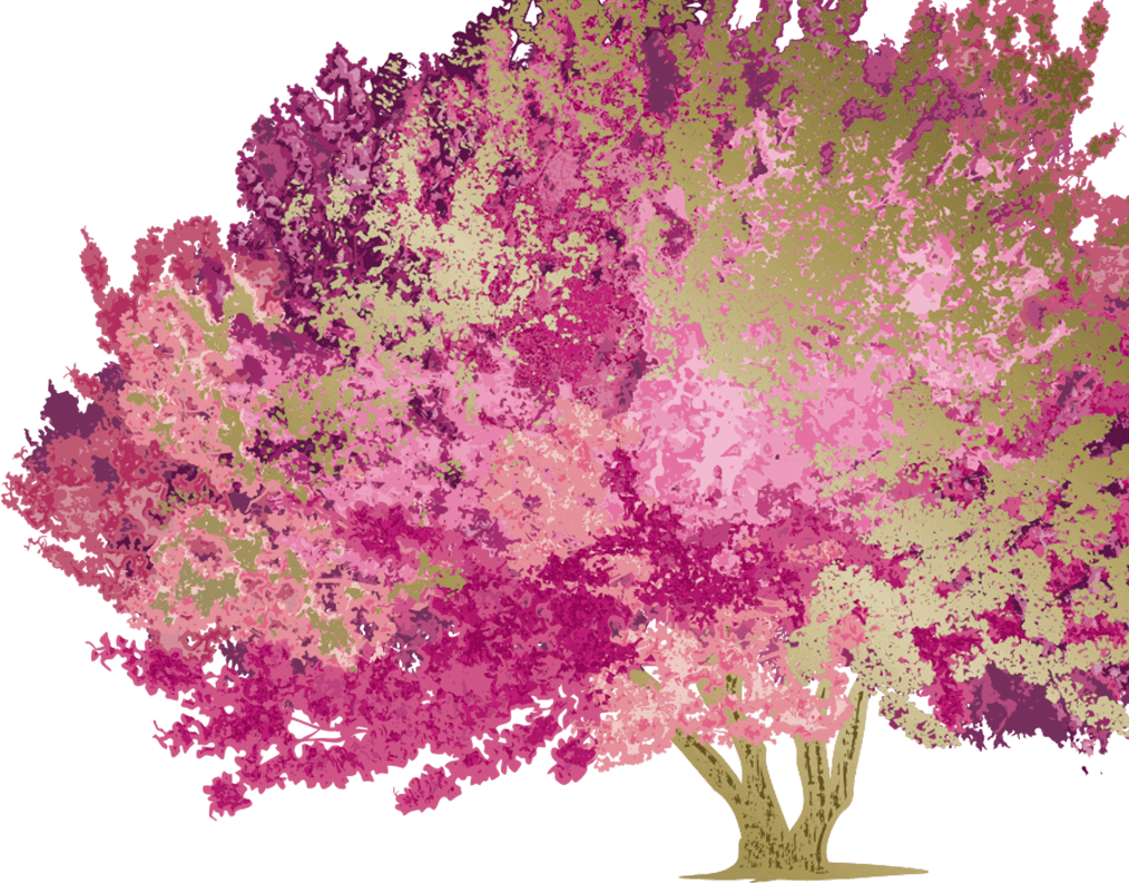 Smoketree Rose Clipart (1014x793), Png Download