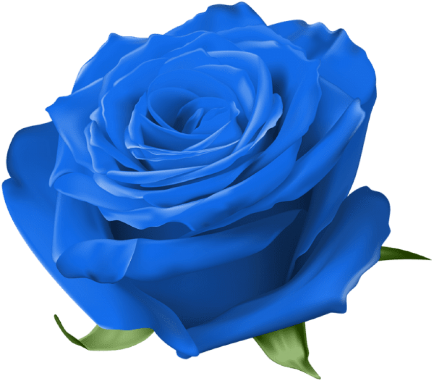 Free Png Download Blue Rose Transparent Png Images - Transparent Rose Clipart (850x746), Png Download
