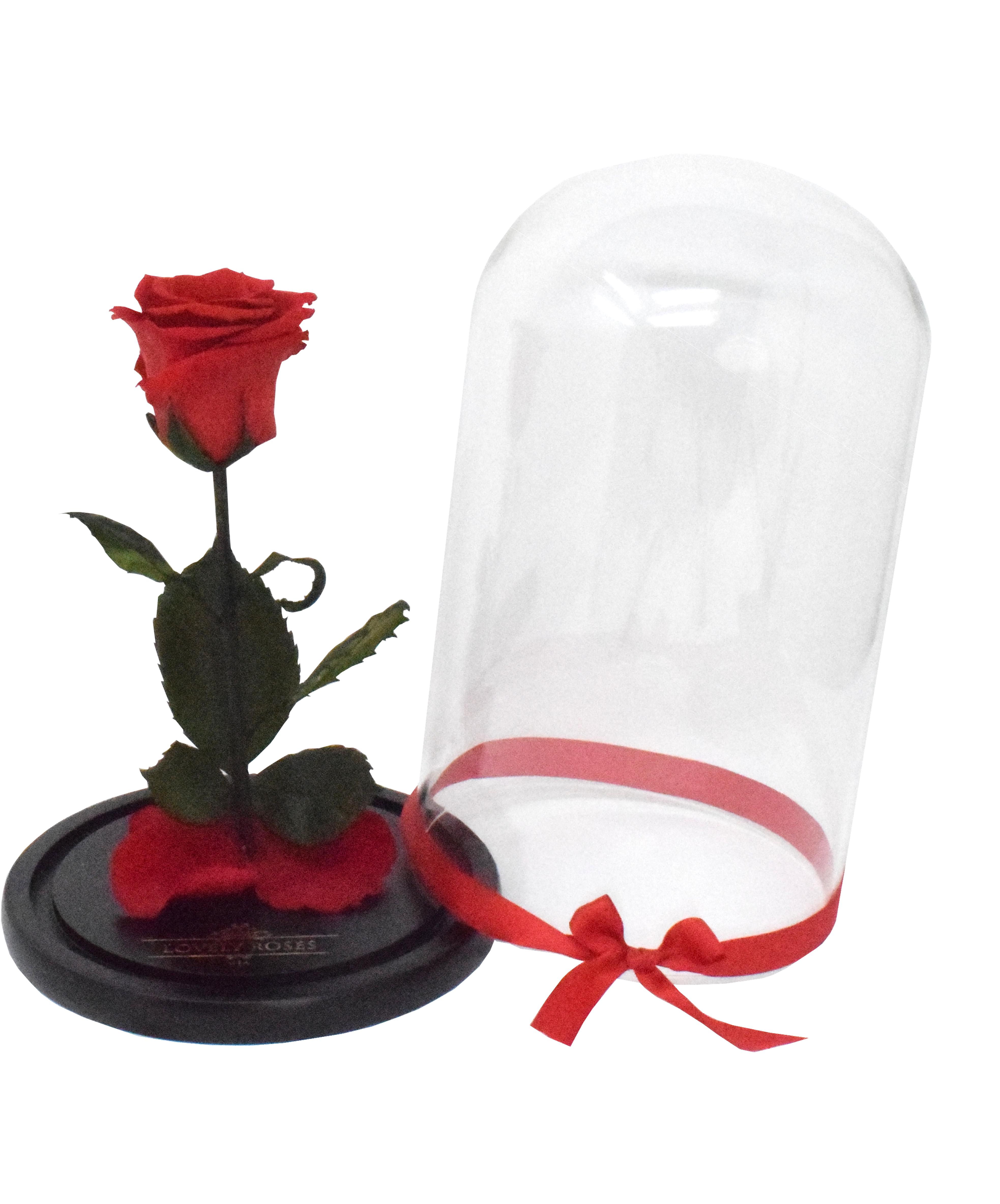 Lovely Roses Beauty And The Beast Clipart (5000x5000), Png Download