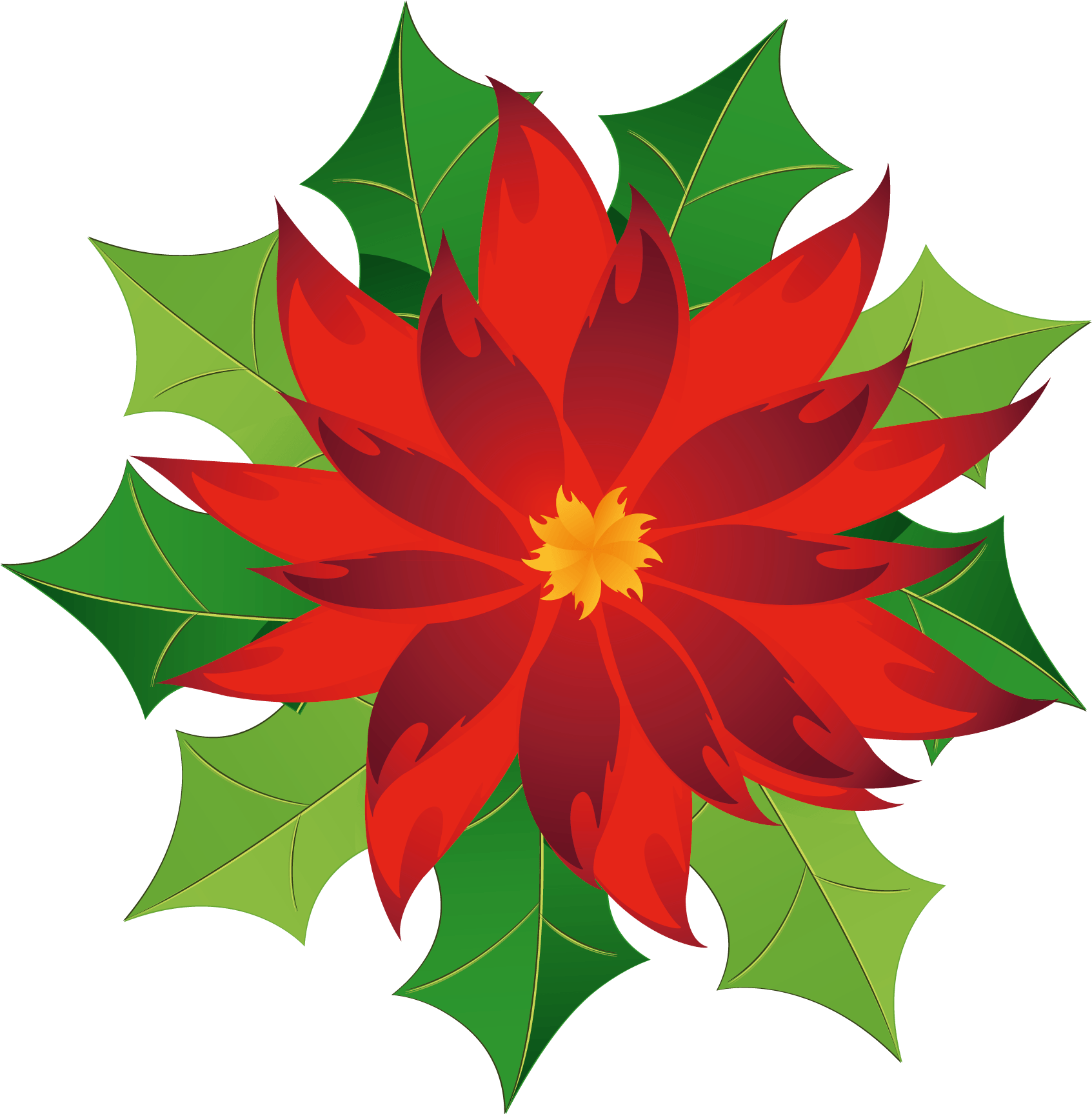 Christmas Holly Poinsettia Poinsetta Terrieasterly - Christmas Poinsettia Clipart - Png Download (1024x1014), Png Download