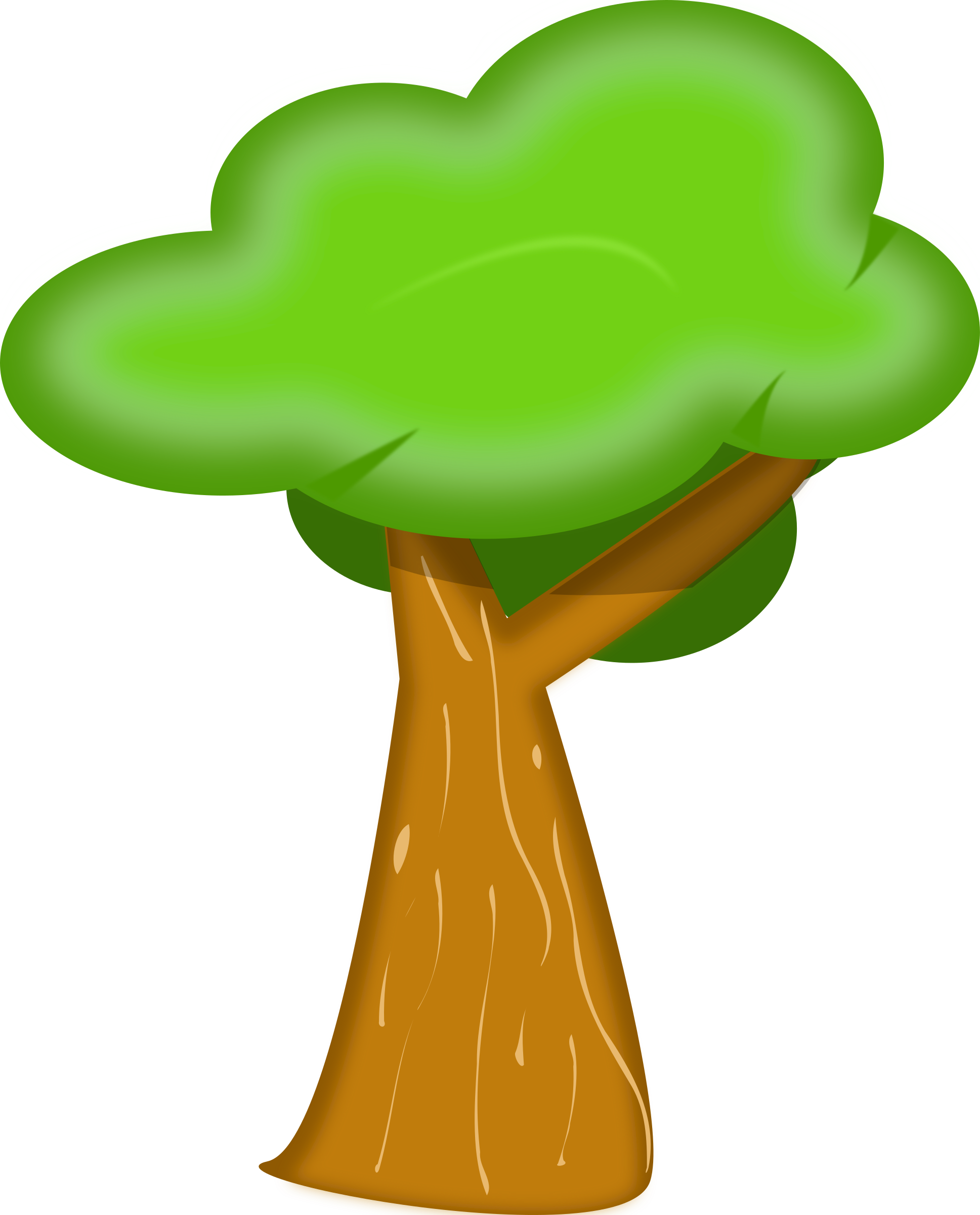 Medium Image - Trees Clip Art - Png Download (646x800), Png Download