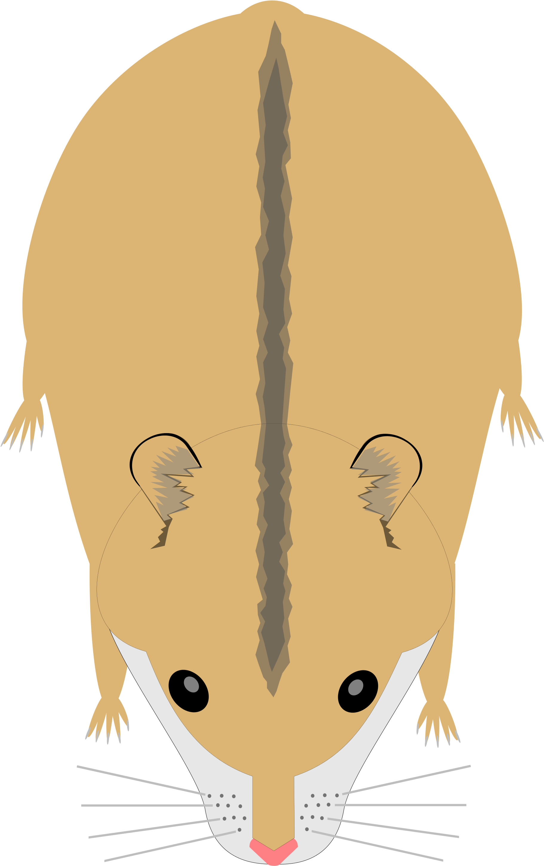 Open - Rat Clipart (2000x3091), Png Download