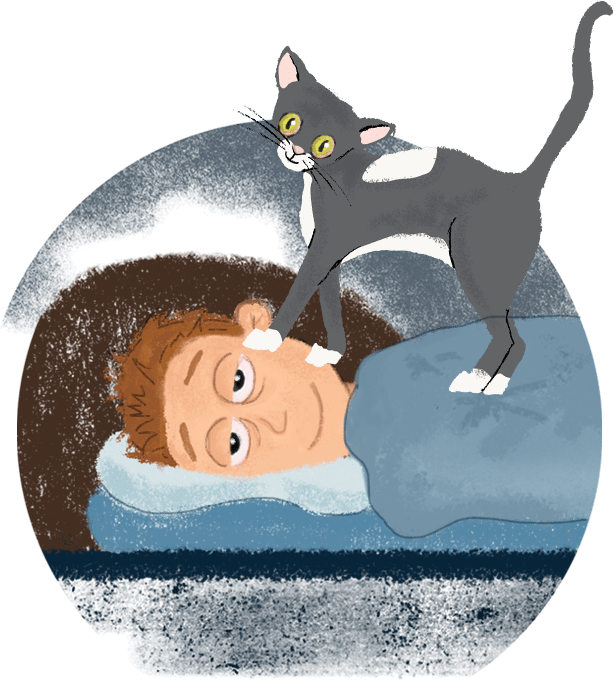 Hillarys - Cartoon Clipart (614x680), Png Download