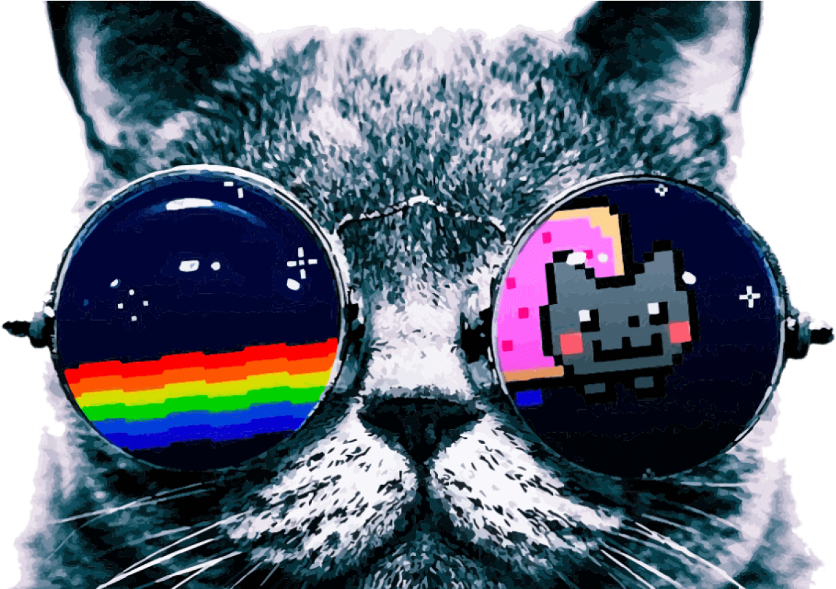 Nyan Cat Wearing Sunglasses Coloring Page Sunglasses - 2048 Pixels Wide And 1152 Pixels Tall Cool Clipart (1368x855), Png Download