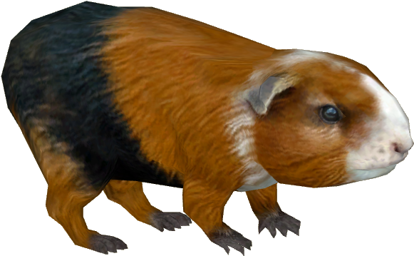 Guinea Pig Png - Zt2 Guinea Pig Clipart (580x580), Png Download