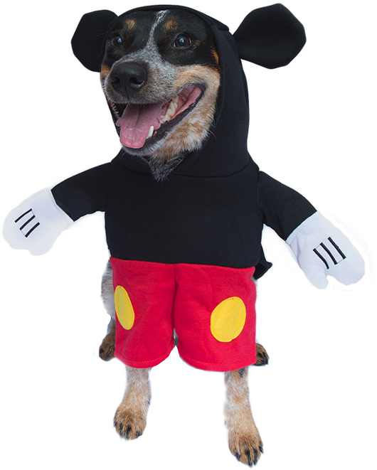 Buzz Lightyear Dog Costume Dog Costumes Clothes Pet - Mickey Dog Costume Clipart (800x800), Png Download