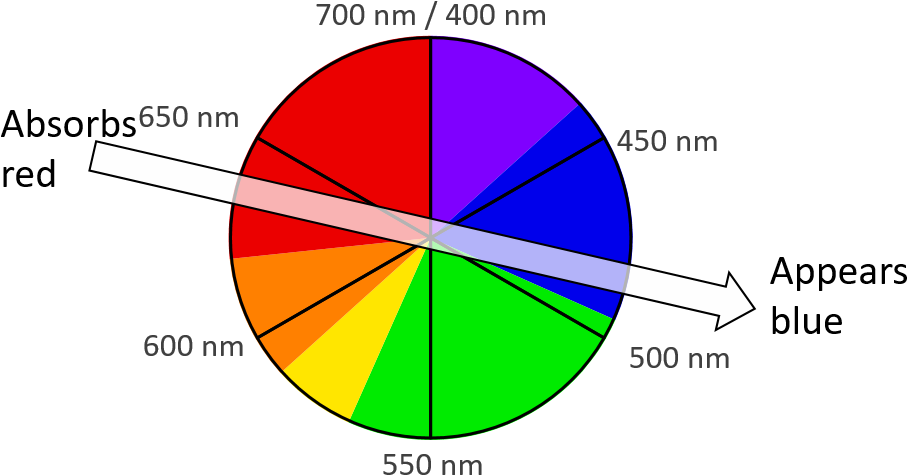 A Color Wheel Accurately Representing The Wavelength - Rueda De Colores Y Longitudes De Onda Clipart (1009x511), Png Download