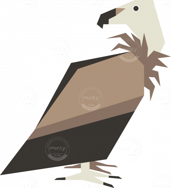 Griffon Vulture Bird Vector Artwork - Illustration Clipart (544x600), Png Download