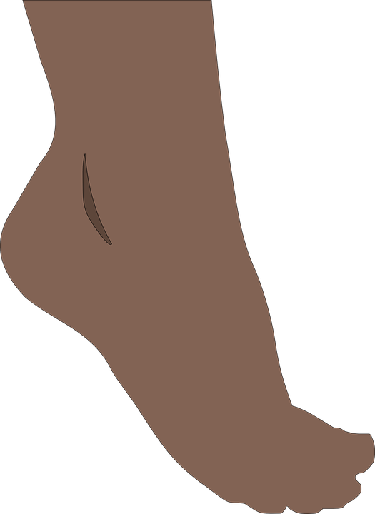 Foot, Feet, Toes, Barefoot, Human, Pedicure, Spa, Sole - Feet Png Clipart (525x720), Png Download