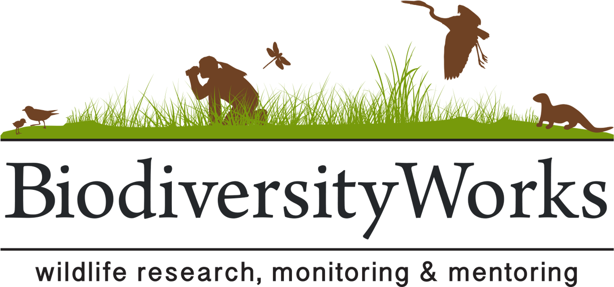 Wildlife Research, Monitoring, And Mentoring - Yale University Clipart (1522x711), Png Download