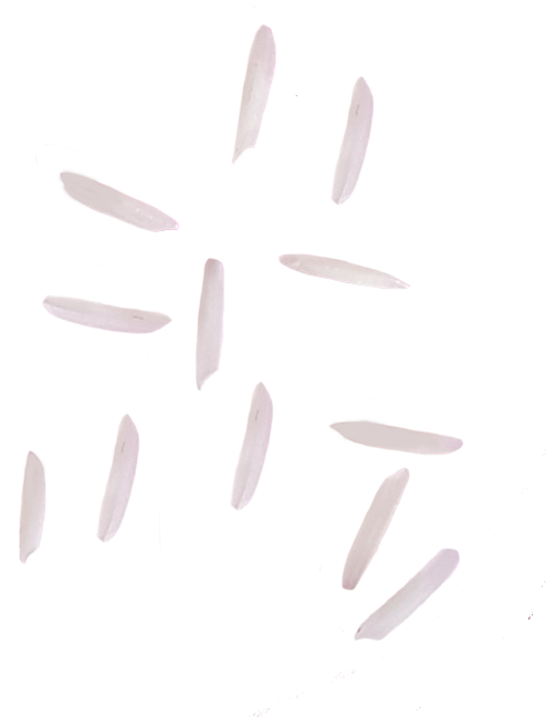 Developed By The Indian Agricultural Research Institute - Knife Clipart (494x648), Png Download