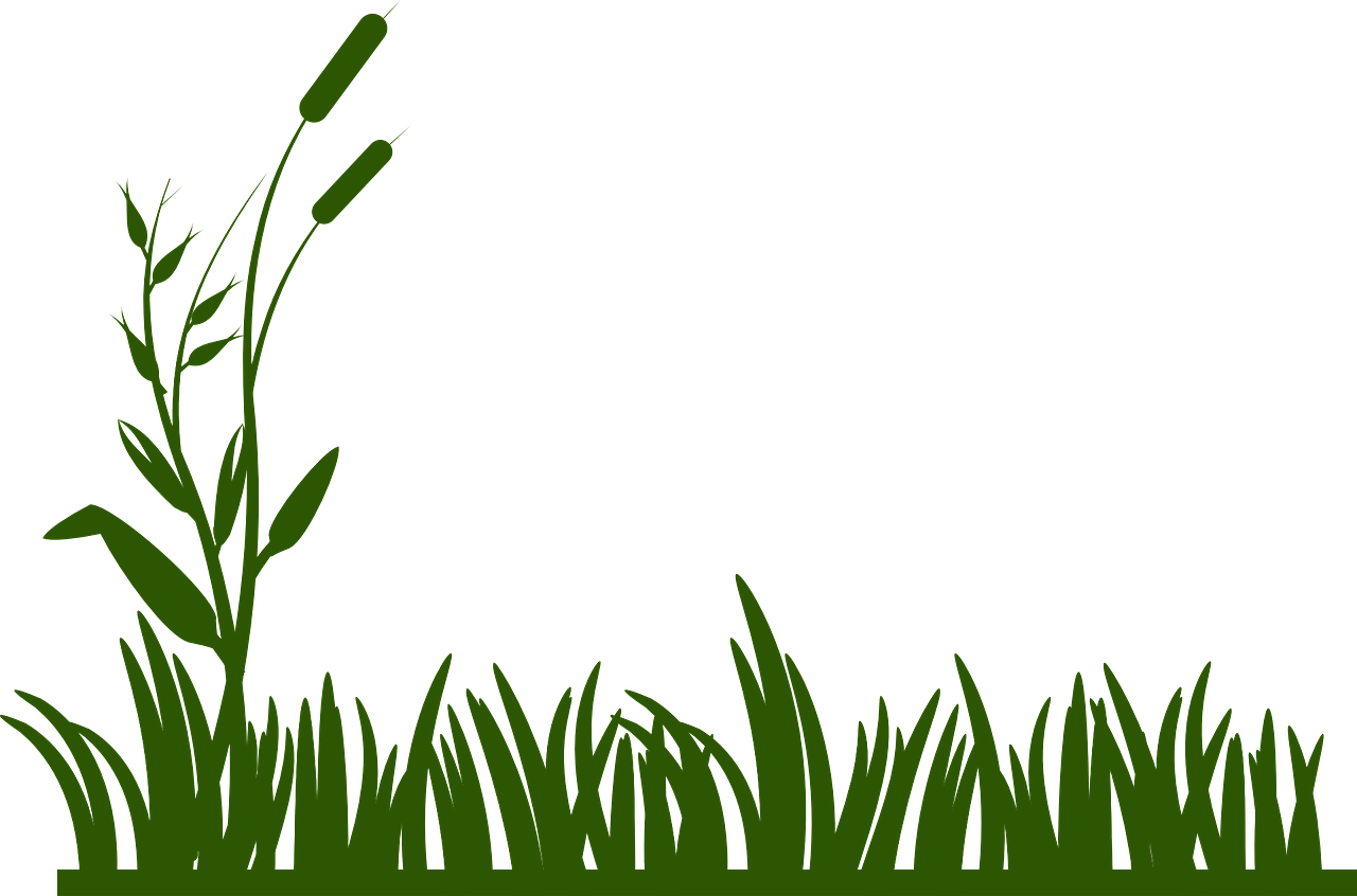 Grass Background Green Png Image - Border Grass Clipart Transparent Png (1280x846), Png Download