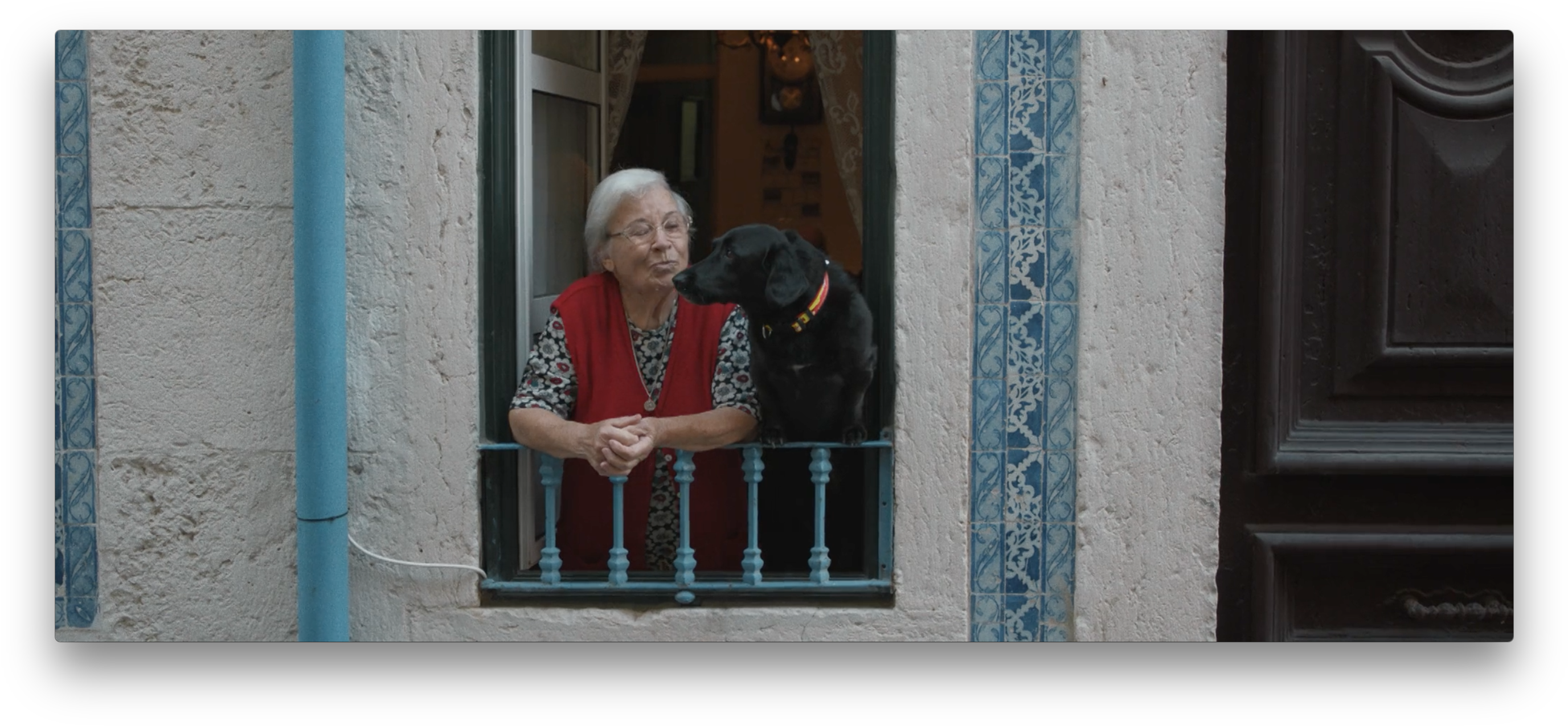 Great Dane Clipart (2784x1298), Png Download