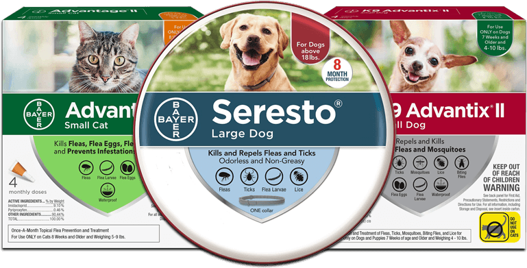 Flea And Tick Prevention Products - Companion Dog Clipart (800x400), Png Download