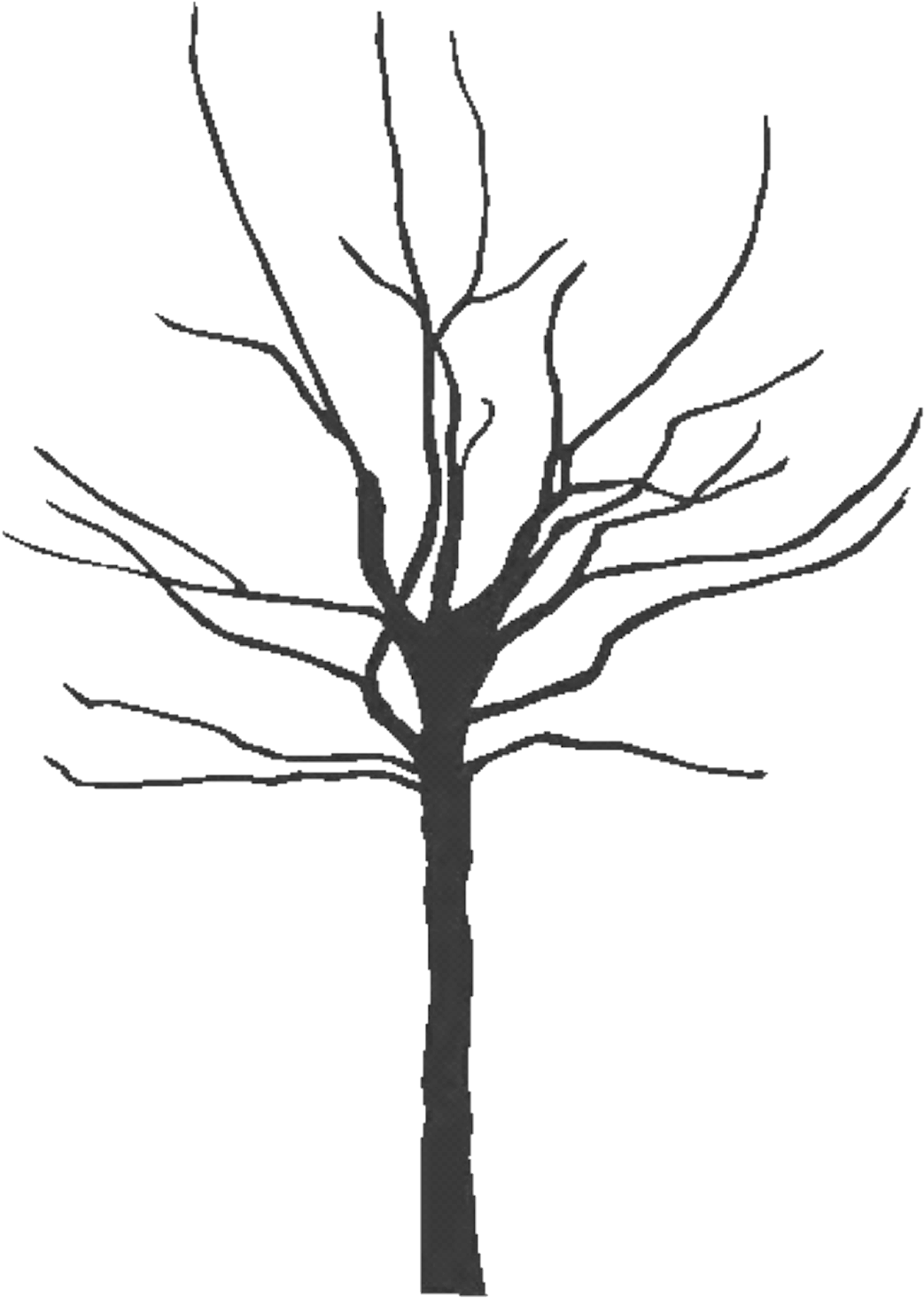 Com Tree Black 300dpi Copy Pluspng - Clip Art Trees Black And White Transparent Png (1043x1465), Png Download