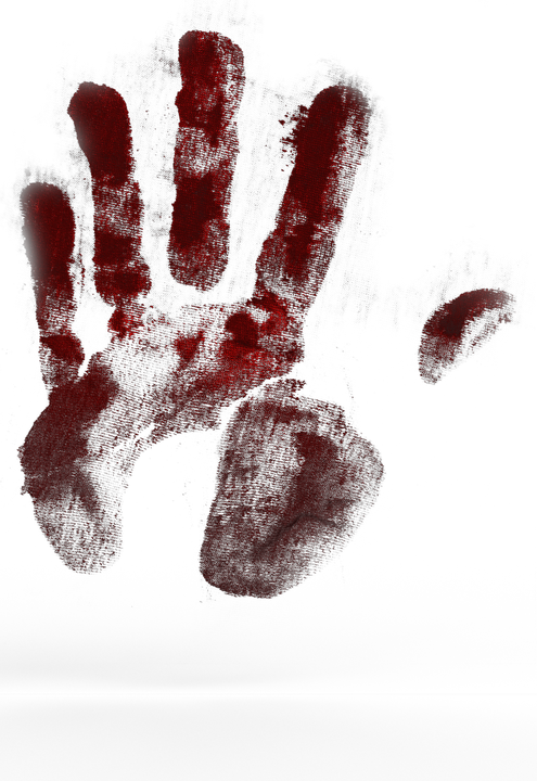 Hand, Handprint, Color, Finger, Red, Art, Reprint - Huella De Sangre Png Clipart (495x720), Png Download