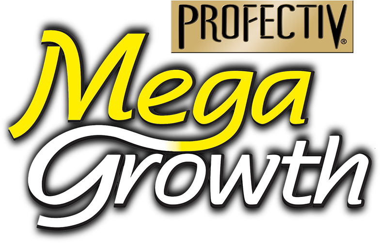 Profectiv Mega Growth Logo Clipart (900x500), Png Download
