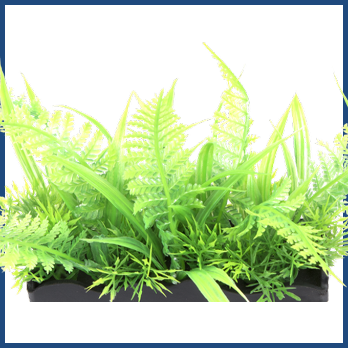 Grass , Png Download Clipart (680x680), Png Download