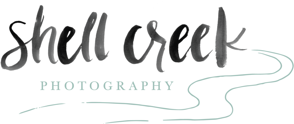 Colorado Wedding Photographer → For The In Love & Adventurous - Calligraphy Clipart (1100x550), Png Download