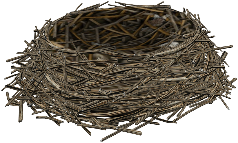 Bird Nest Png - Birds Nest Clipart (821x495), Png Download