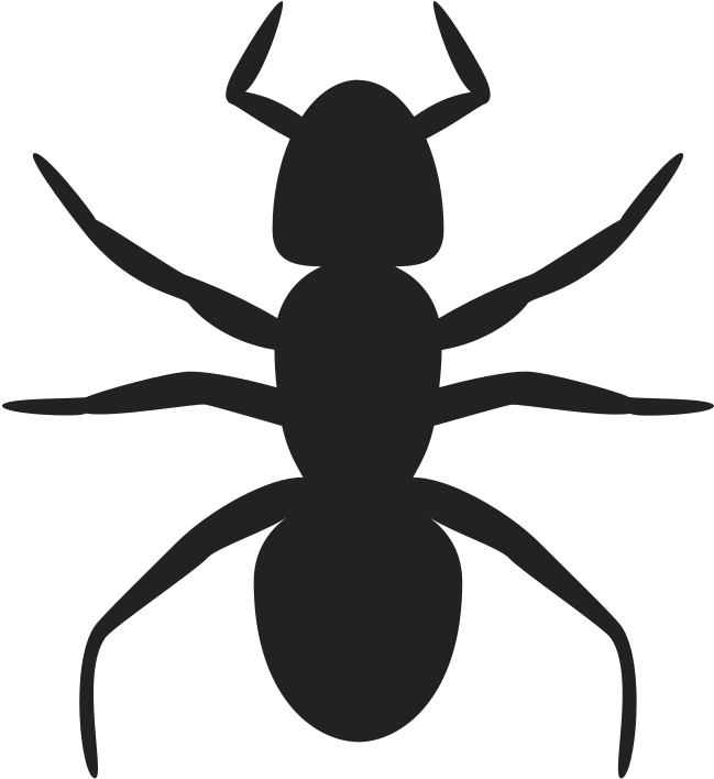 546 X 596 8 - Ant Clip Art - Png Download (546x596), Png Download