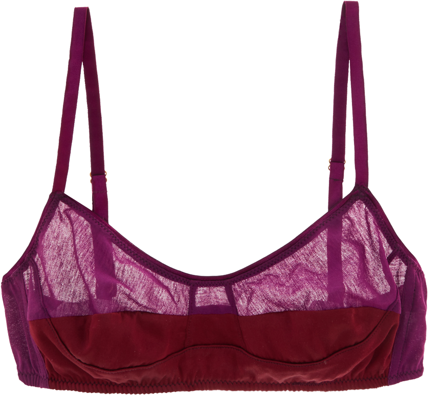 Hanging Bra Png , Png Download Clipart (868x773), Png Download