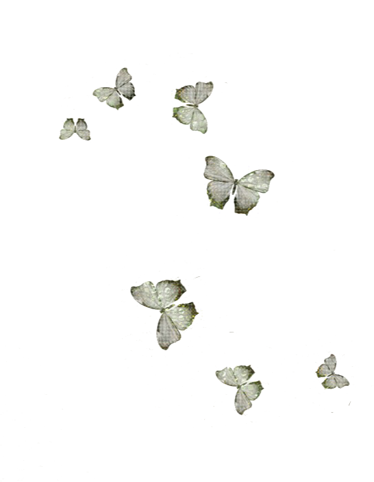 Casa De Libélulas - Bath White Clipart (575x702), Png Download