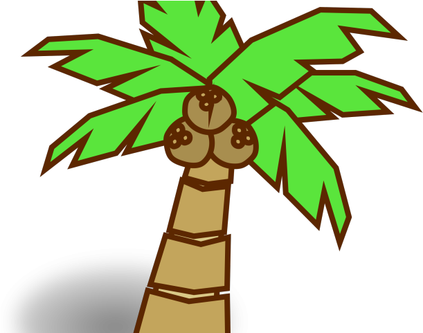 Jungle Clipart Vines - Coconut Tree Cartoon - Png Download (640x480), Png Download