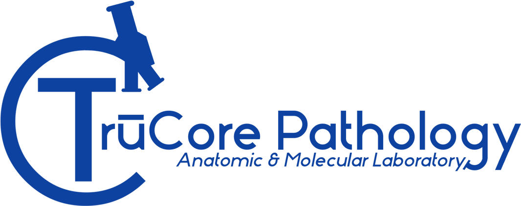 Graphic Design Clipart (1167x467), Png Download