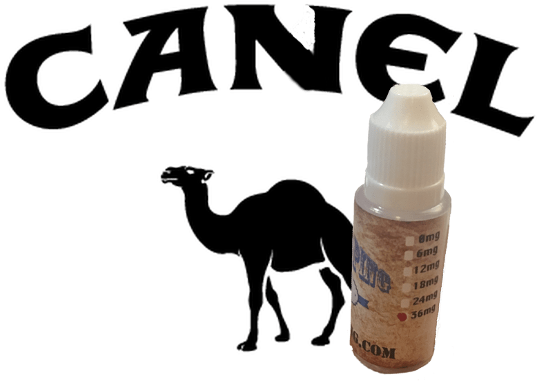 Canel Ejuice - Arabian Camel Clipart (800x800), Png Download