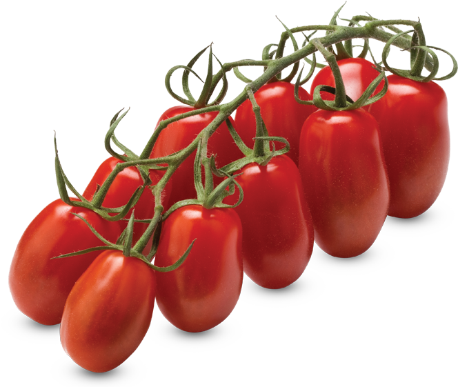 Mini San Marzano Vine Tomatoes - Tomato Clipart (800x560), Png Download