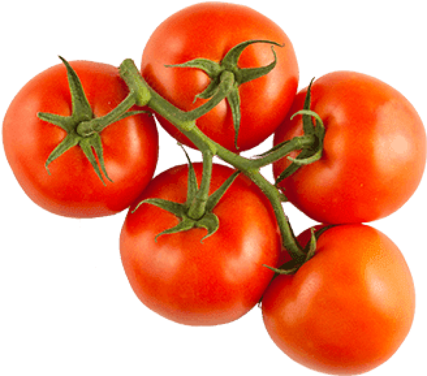 Free Png Download Red Vine Tomatoes Png Images Background - Plum Tomato Clipart (850x749), Png Download