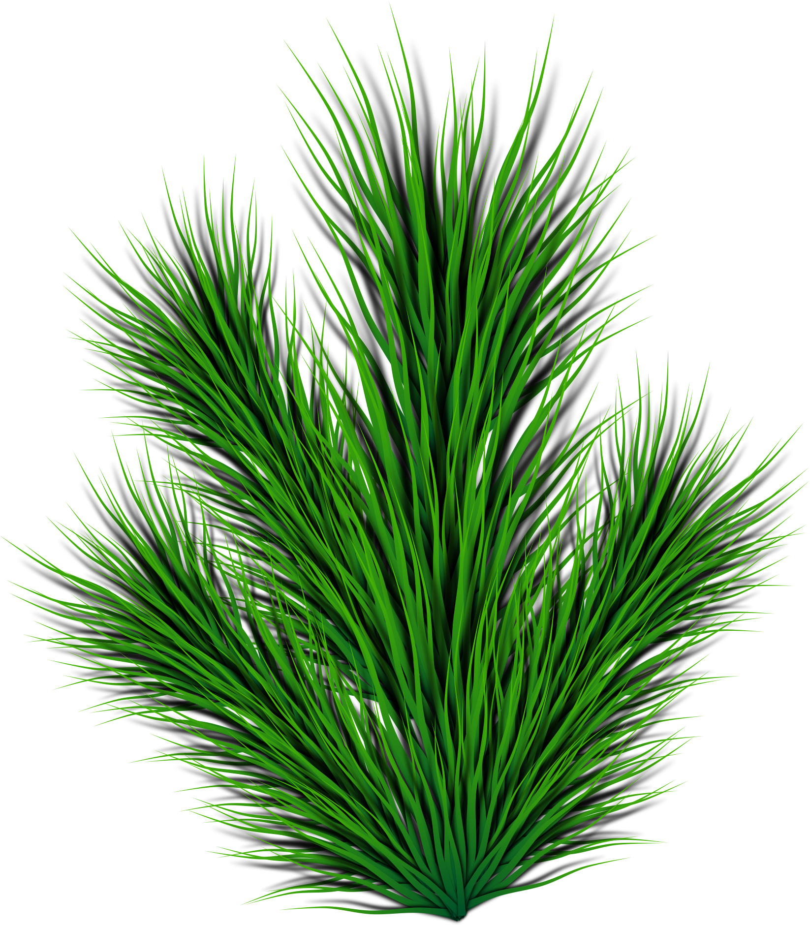 This Free Icons Png Design Of Pine Branch Clipart (1697x2400), Png Download