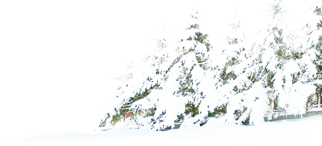 Tree Winter Pine Snow Free Download Png Hd Clipart - Winter Transparent Png (1109x595), Png Download