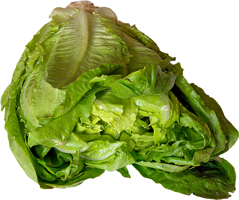 Free Png Download Lettuce Png Images Background Png - Lettuce Clipart (850x713), Png Download