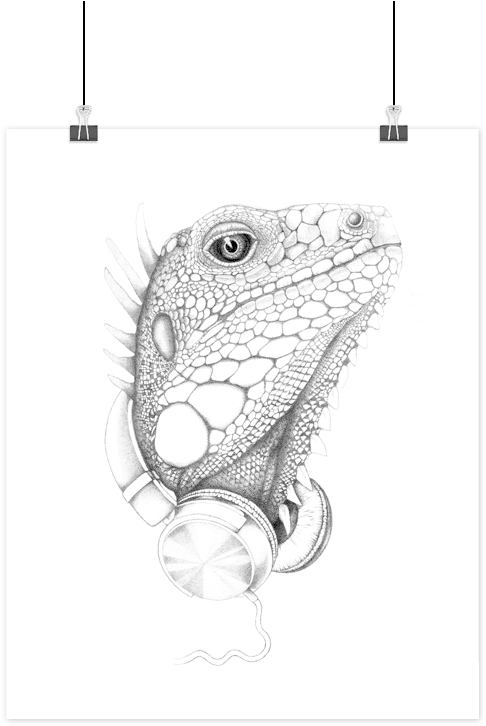 Boas Grafik Rockøgle Art Print - Illustration Clipart (775x775), Png Download