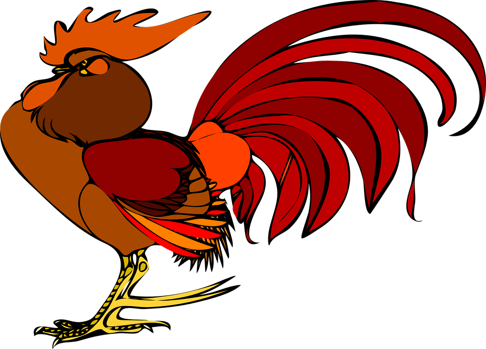 Rooster Clipart Angry - Cock A Doodle Doo Clipart - Png Download (640x480), Png Download