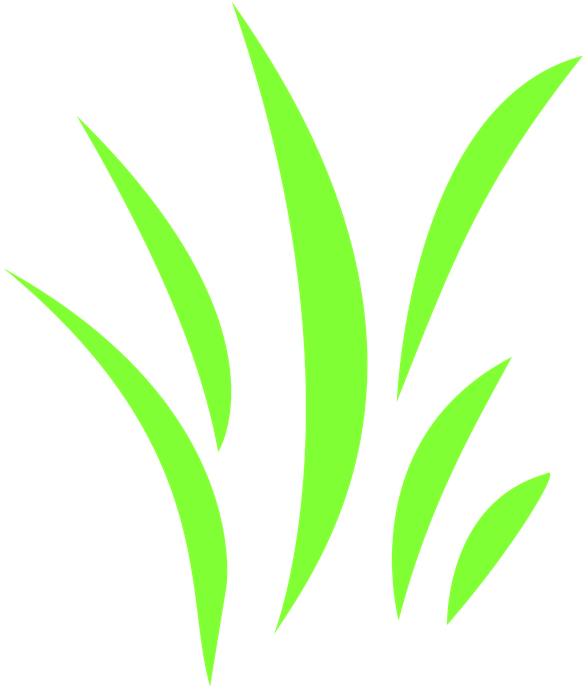 Icon Grass Grasses Bloom Green , Png Download - Darkness Clipart (585x689), Png Download