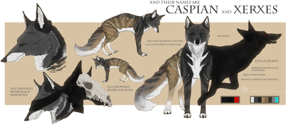 Caspian And Xerxes Ref Clipart (994x436), Png Download
