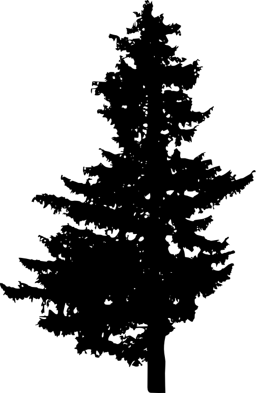 30 Pine Tree Silhouette Png Transparent Vol - Free Pine Tree Vector Png Clipart (503x771), Png Download