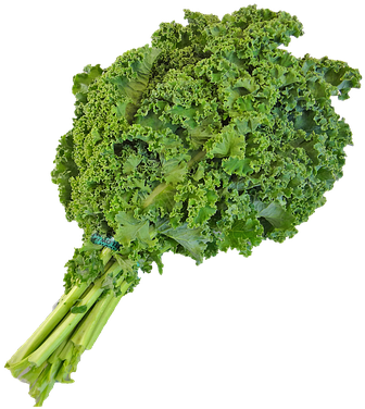 Laminated Poster Png Native Kale Green Local Vegetable - Curly Kale Png Transparent Clipart (561x720), Png Download