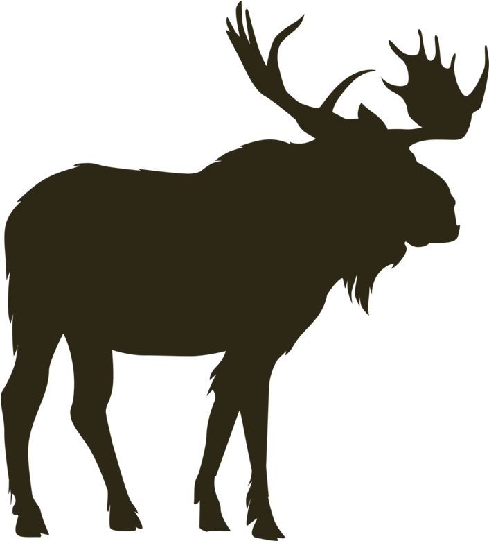 Image Free Library Vector Head Eland - Moose Silhouettes Clipart (800x800), Png Download